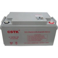 山特蓄電池6GFM-38規格12V38AH專用UPS不間斷電源